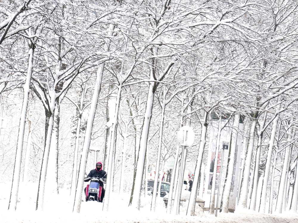 Fresh avalanches kill five skiers in Austria