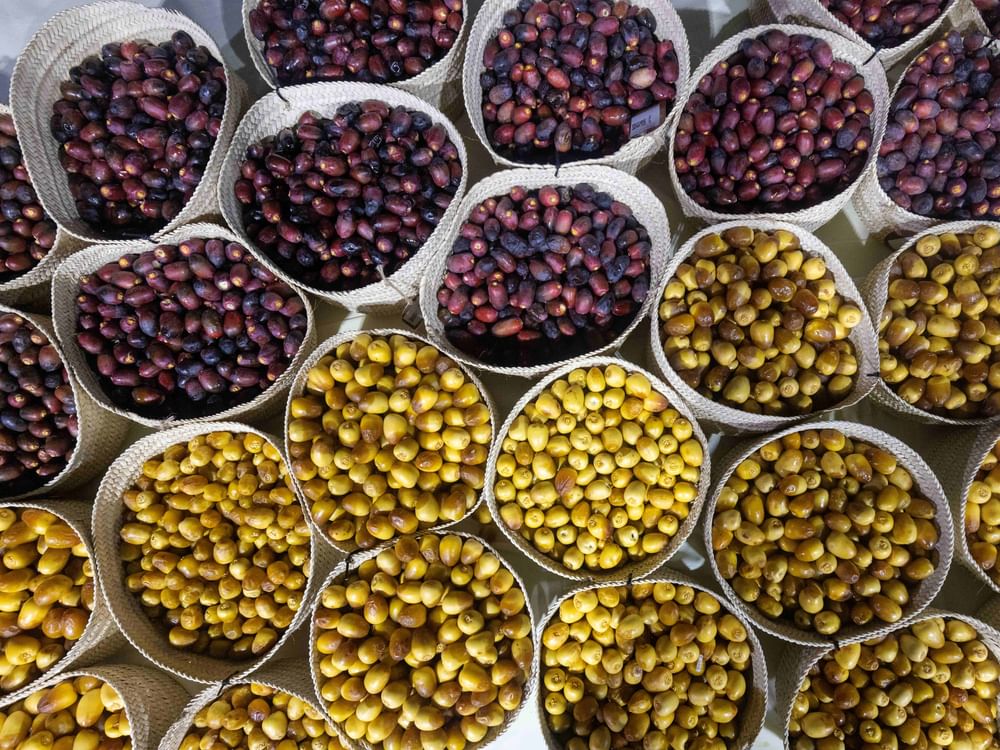 Inaugural Al Wathba Dates festival opens tomorrow