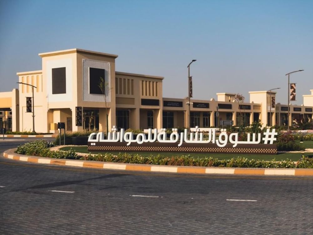 "سوق الشارقة للمواشي" يعلن جاهزيته الكاملة لاستقبال عيد الأضحى