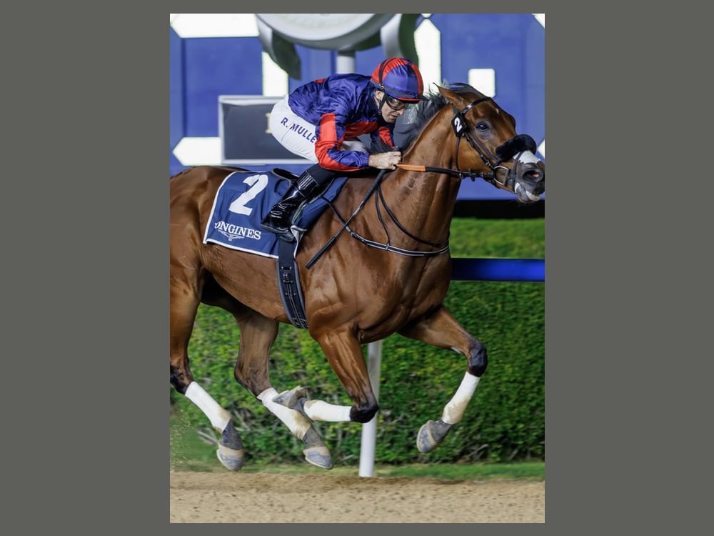 Imperial Emperor books Dubai World Cup berth on Meydan’s Fashion Friday