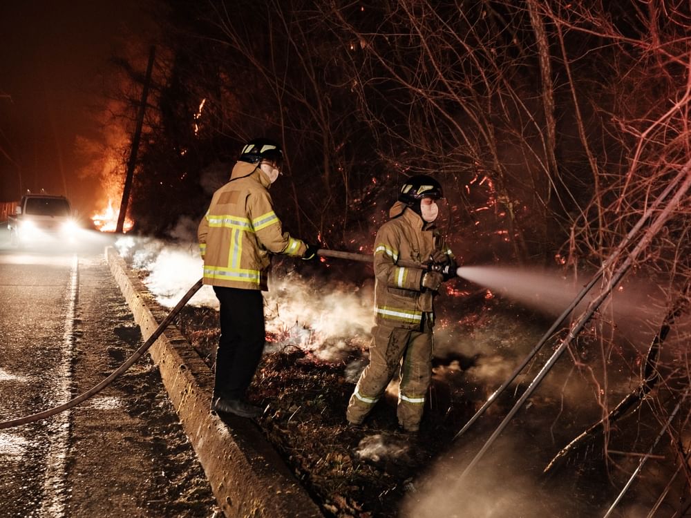 Wildfires burn about 15,000 hectares of woodland in Korea