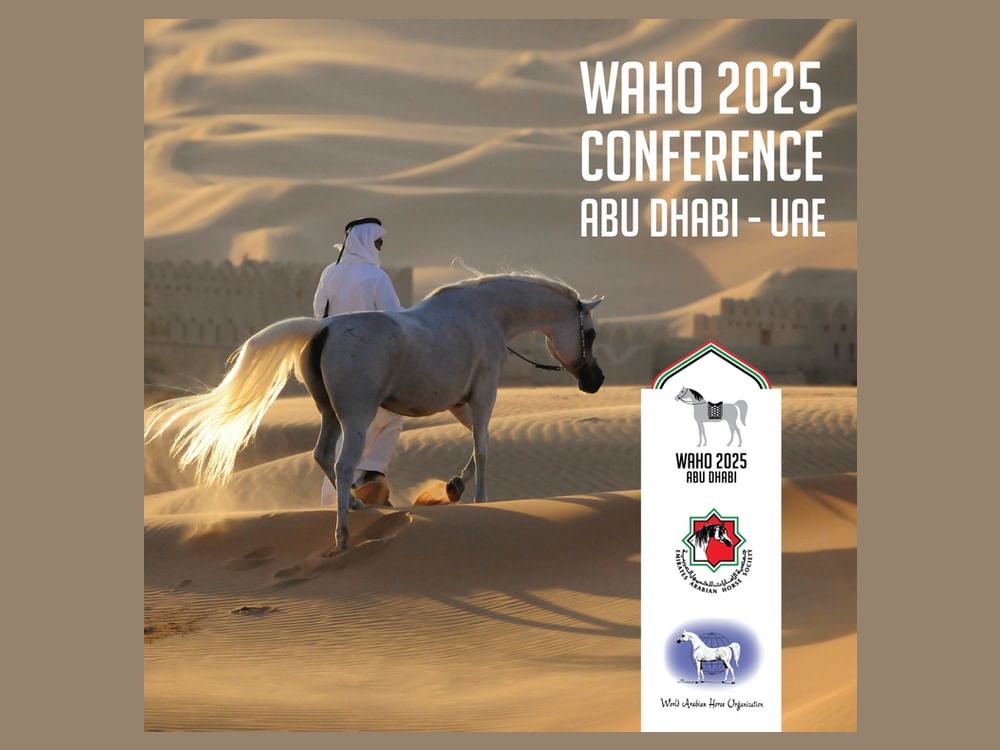 Abu Dhabi sedia reunião da Assembleia Geral da Organização Mundial do Cavalo Árabe