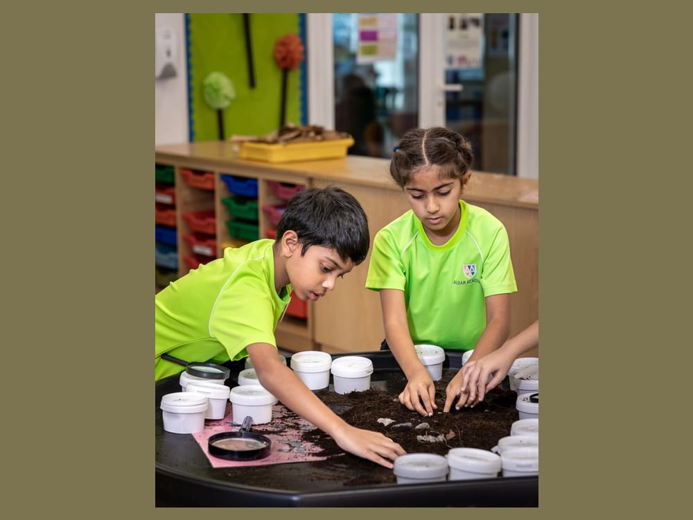 Abu Dhabi secures membership in UN University network of Regional Centres of Expertise on Education for Sustainable Development